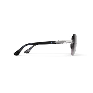 Sunglasses - The Bizster